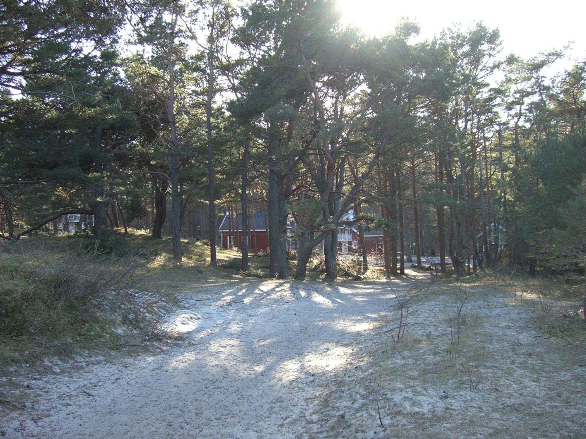 Haus Sandra Baabe Bagian luar foto