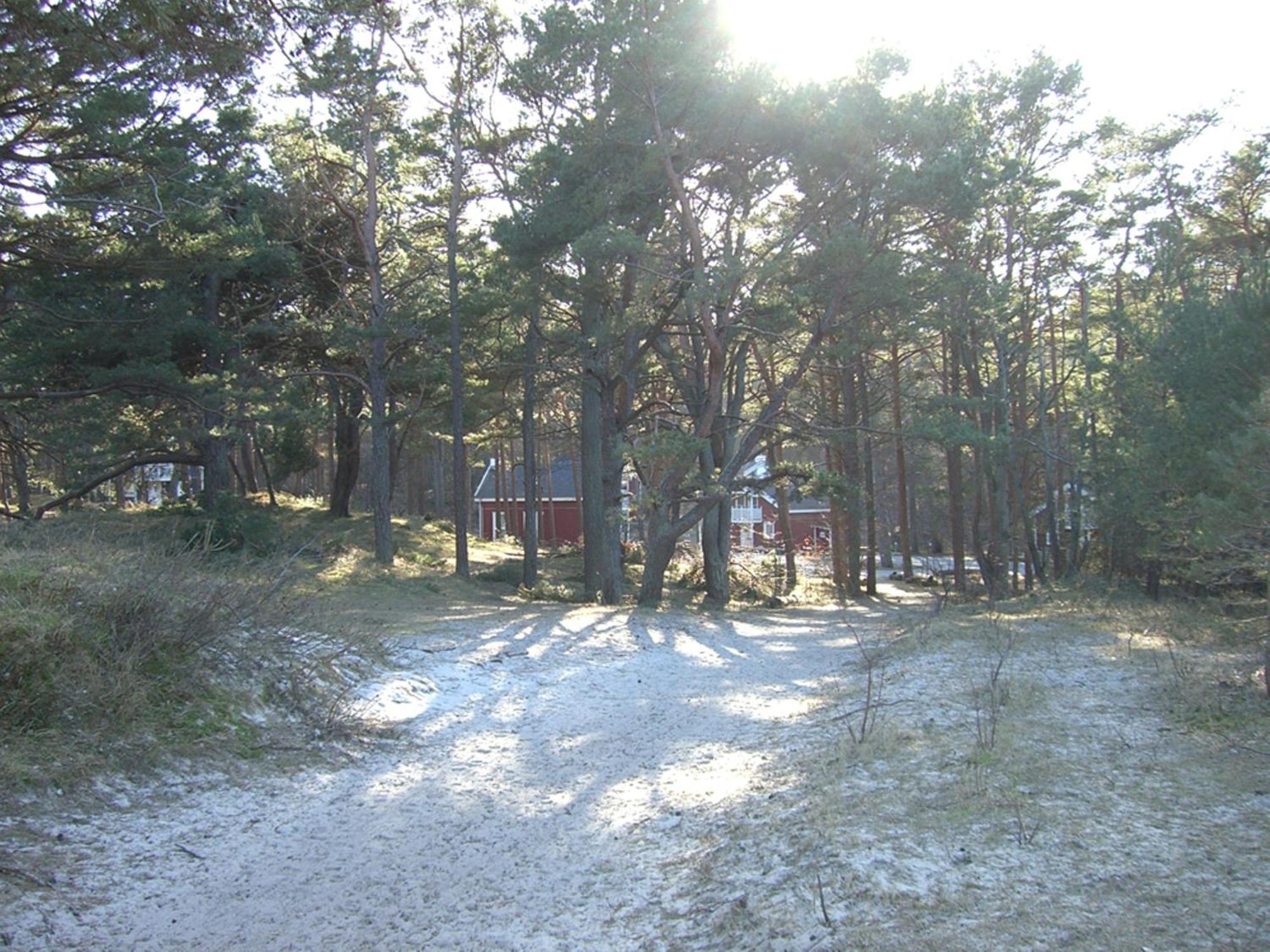 Haus Sandra Baabe Bagian luar foto
